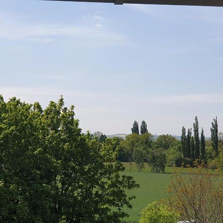 Villa Cosel Dresden Dış mekan fotoğraf